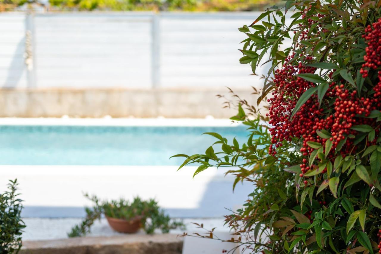 Appartamento Adriana On Peaceful Location With Pool Pola